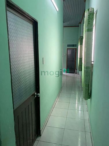 4186008 ảnh đại diện 2