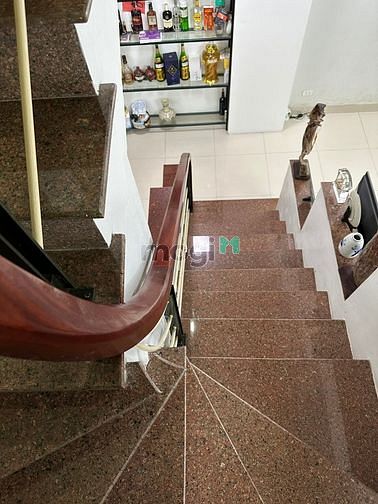 4184844 ảnh đại diện 2