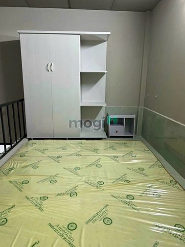 4186239 ảnh đại diện 2