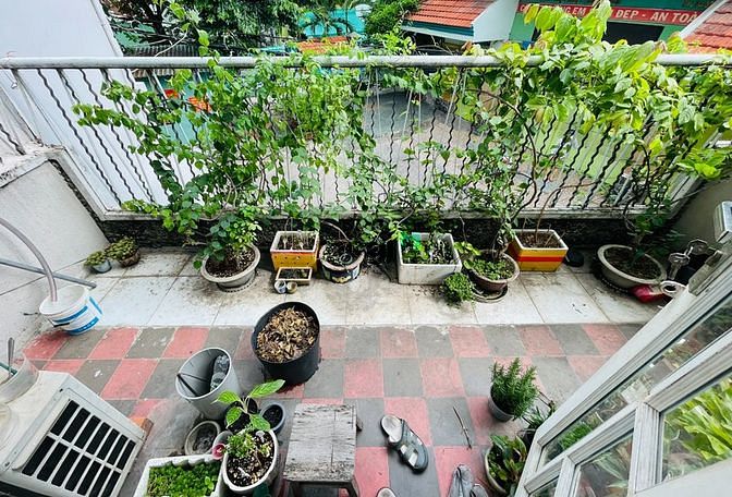 4185090 ảnh đại diện 2