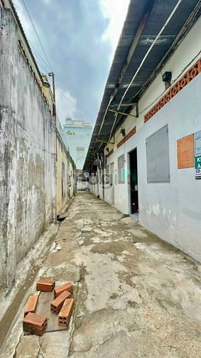 4185137 ảnh đại diện 2