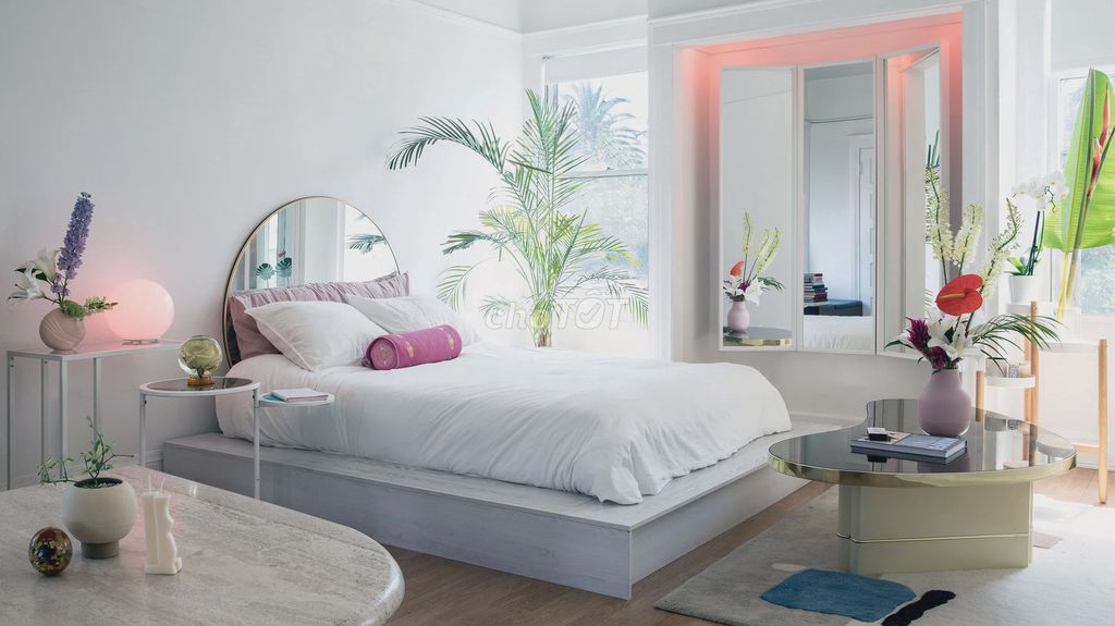 4184672 ảnh đại diện 2