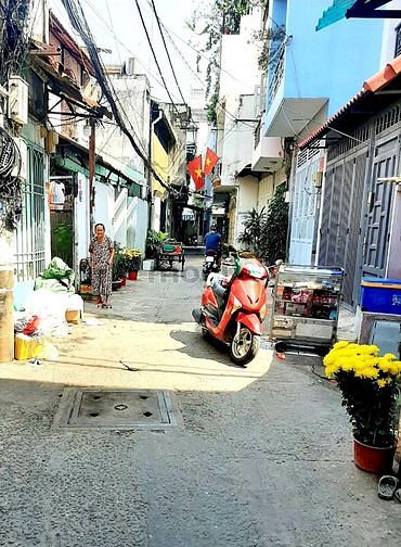 4184105 ảnh đại diện 1