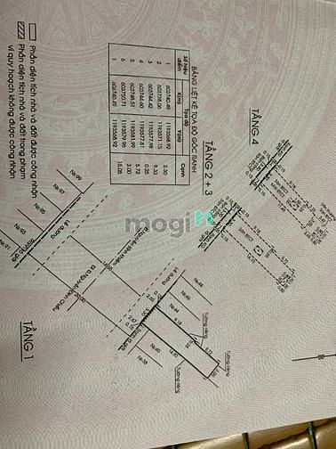 4183363 ảnh đại diện 1