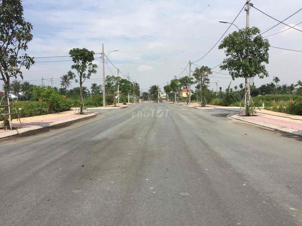 4185205 ảnh đại diện 2