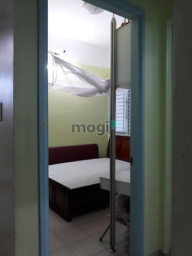 4185023 ảnh đại diện 2