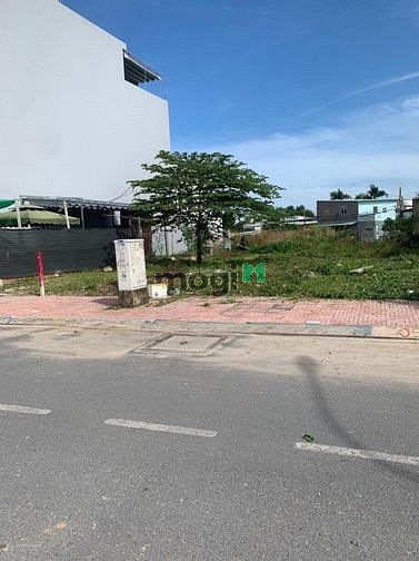 4185678 ảnh đại diện 1