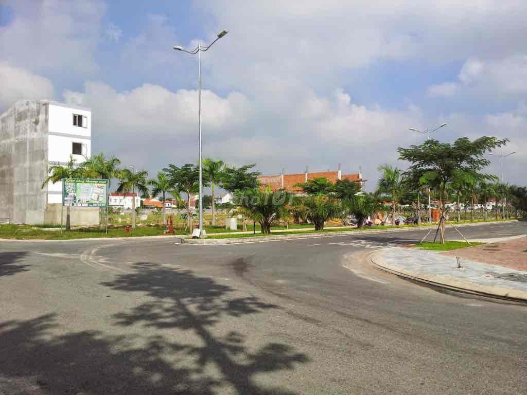 4185205 ảnh đại diện 1