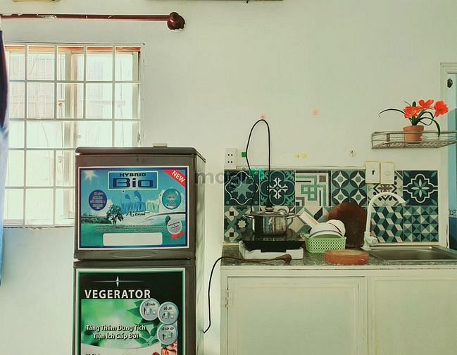 4184384 ảnh đại diện 1