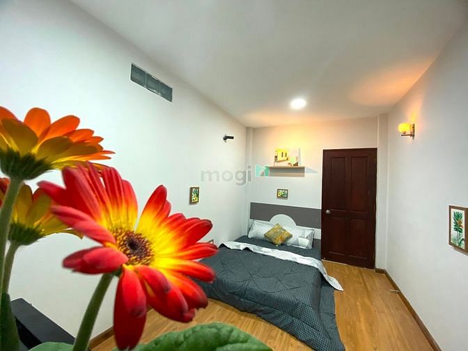 4184381 ảnh đại diện 1
