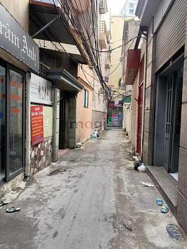 4184473 ảnh đại diện 1