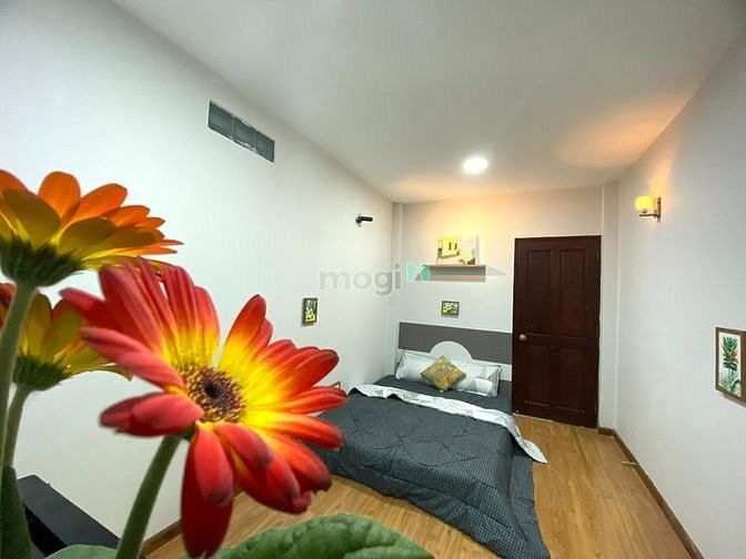 4184382 ảnh đại diện 1