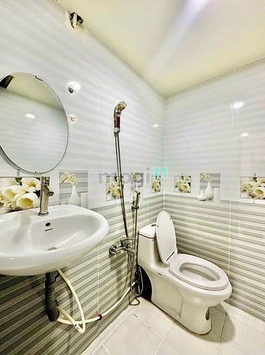 4186532 ảnh đại diện 1