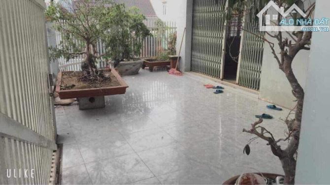 4190084 ảnh đại diện 2