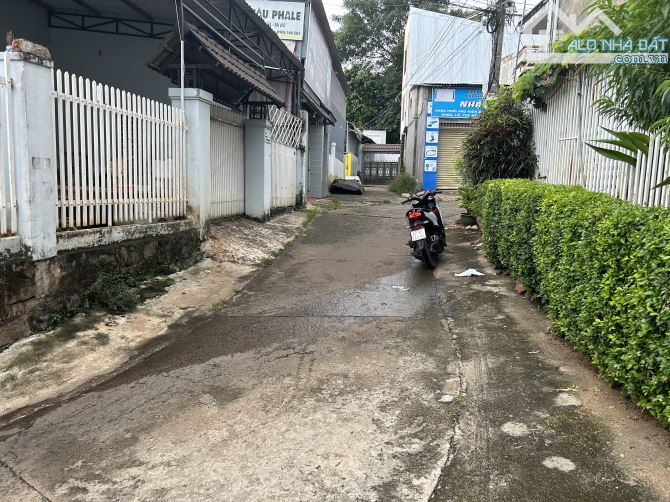 4190084 ảnh đại diện 1