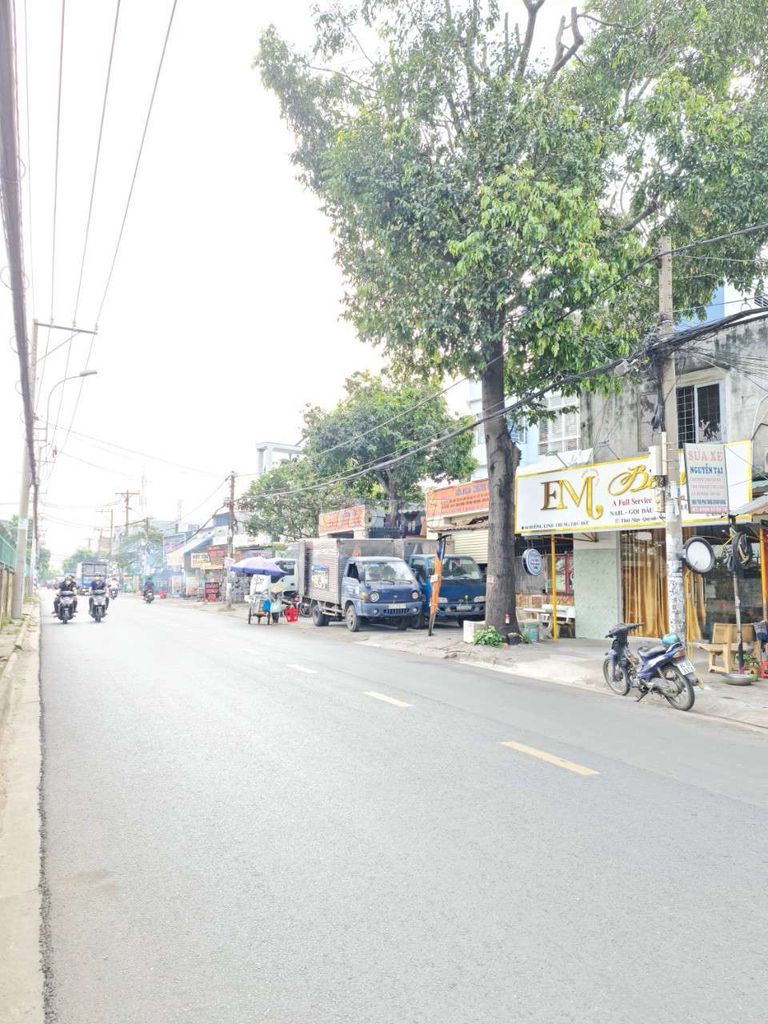 4190365 ảnh đại diện 1