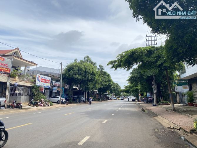 4190070 ảnh đại diện 1