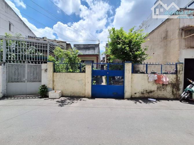4190864 ảnh đại diện 2