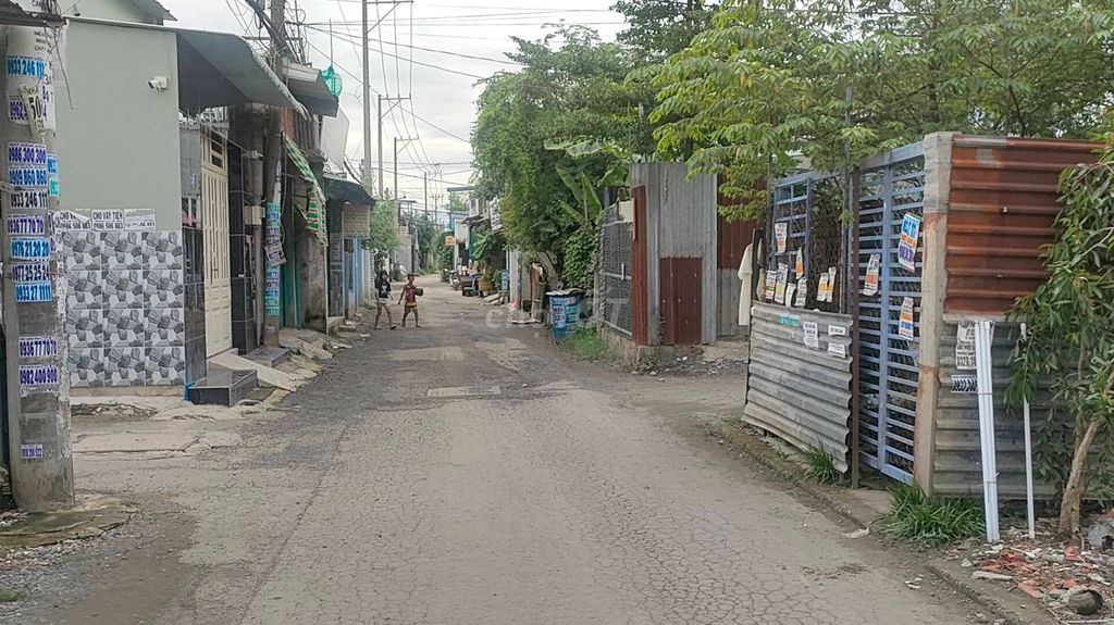 4189826 ảnh đại diện 2