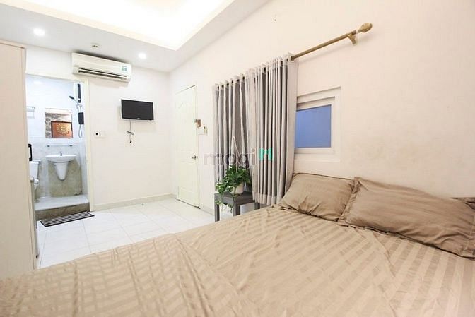 4190384 ảnh đại diện 1