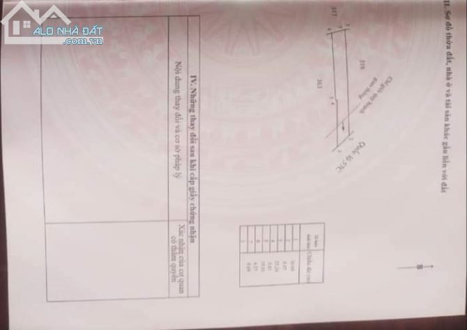 4189795 ảnh đại diện 1