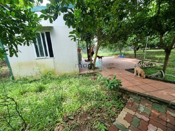 4188847 ảnh đại diện 1