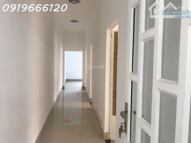 4190301 ảnh đại diện 1