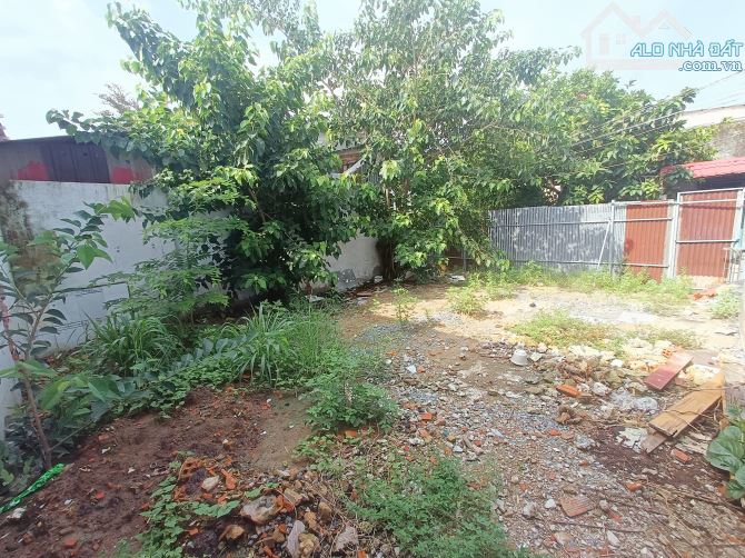 4190052 ảnh đại diện 2
