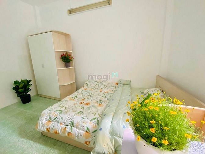 4190178 ảnh đại diện 1