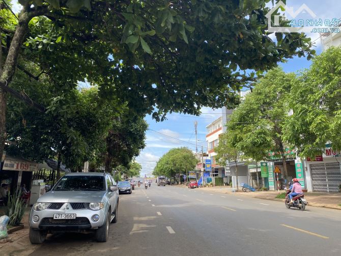 4190070 ảnh đại diện 1