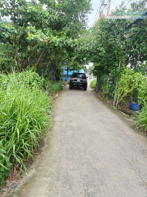4190052 ảnh đại diện 1