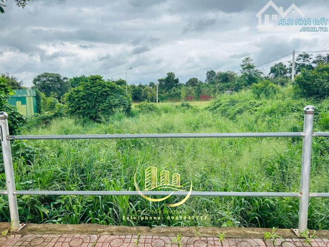 4190076 ảnh đại diện 1