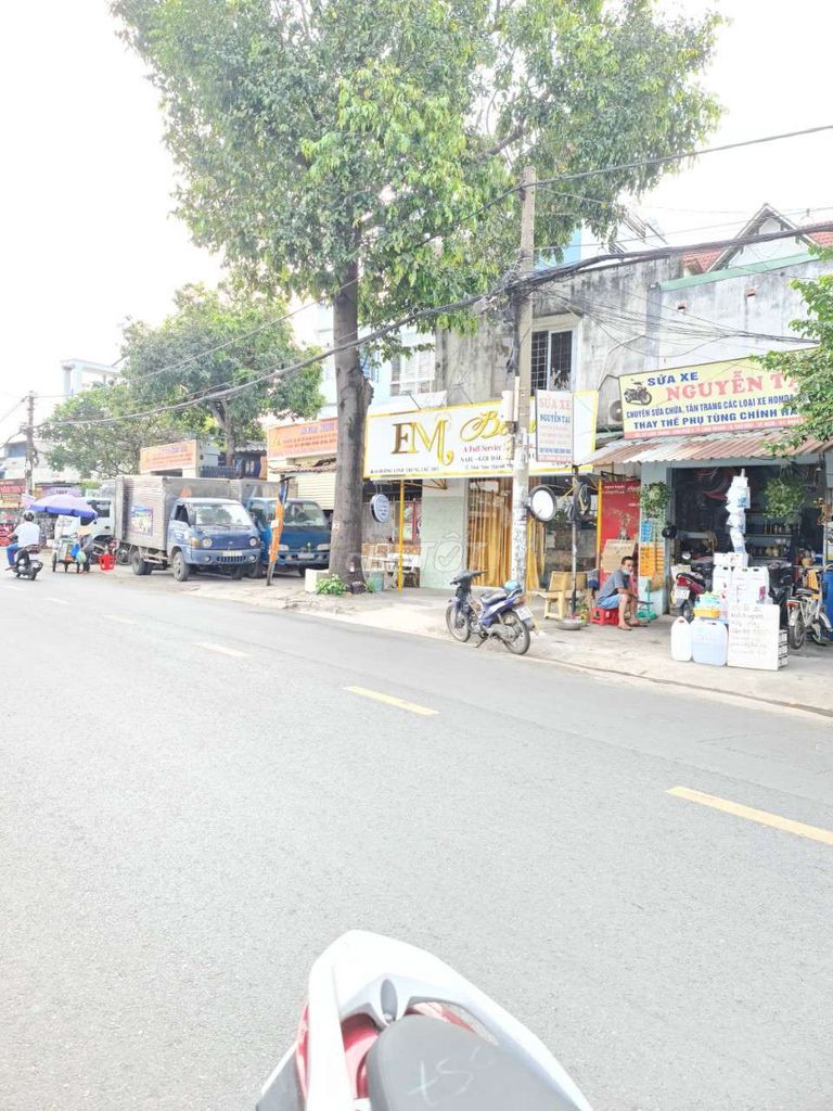 4190365 ảnh đại diện 1