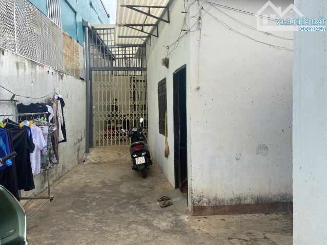 4190075 ảnh đại diện 2