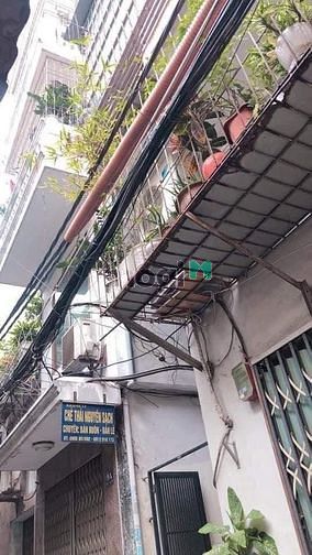 4187155 ảnh đại diện 2