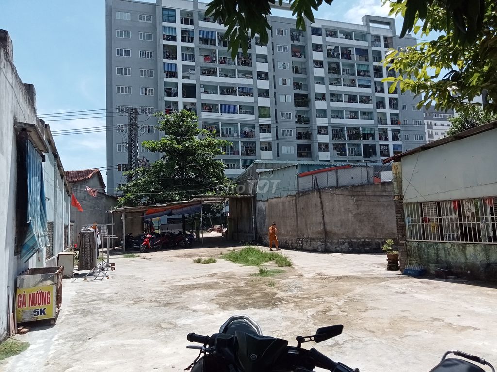 4190710 ảnh đại diện 2