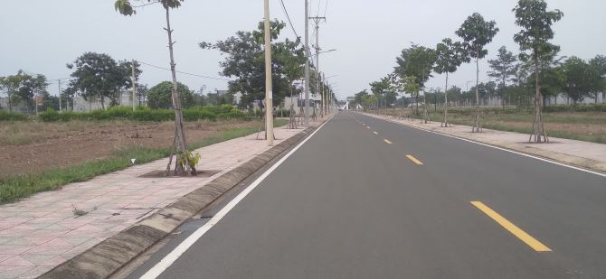 4189237 ảnh đại diện 2