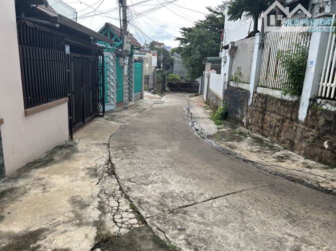 4190084 ảnh đại diện 1