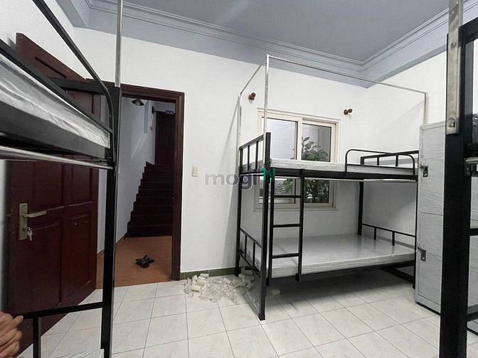 4190168 ảnh đại diện 1