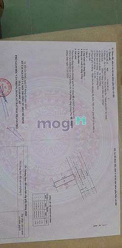 4189390 ảnh đại diện 1