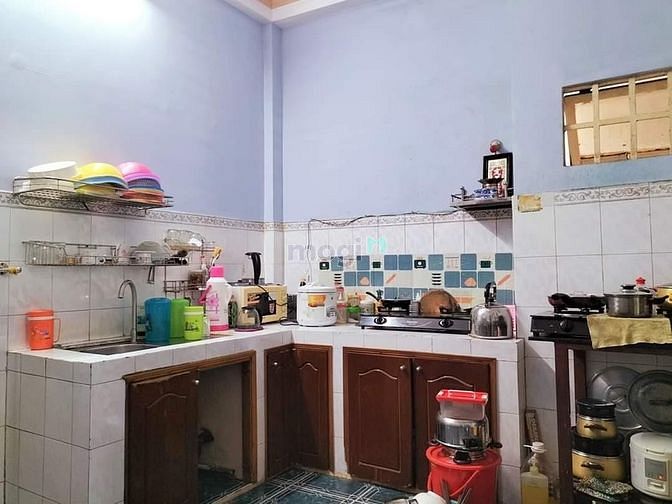 4190502 ảnh đại diện 1