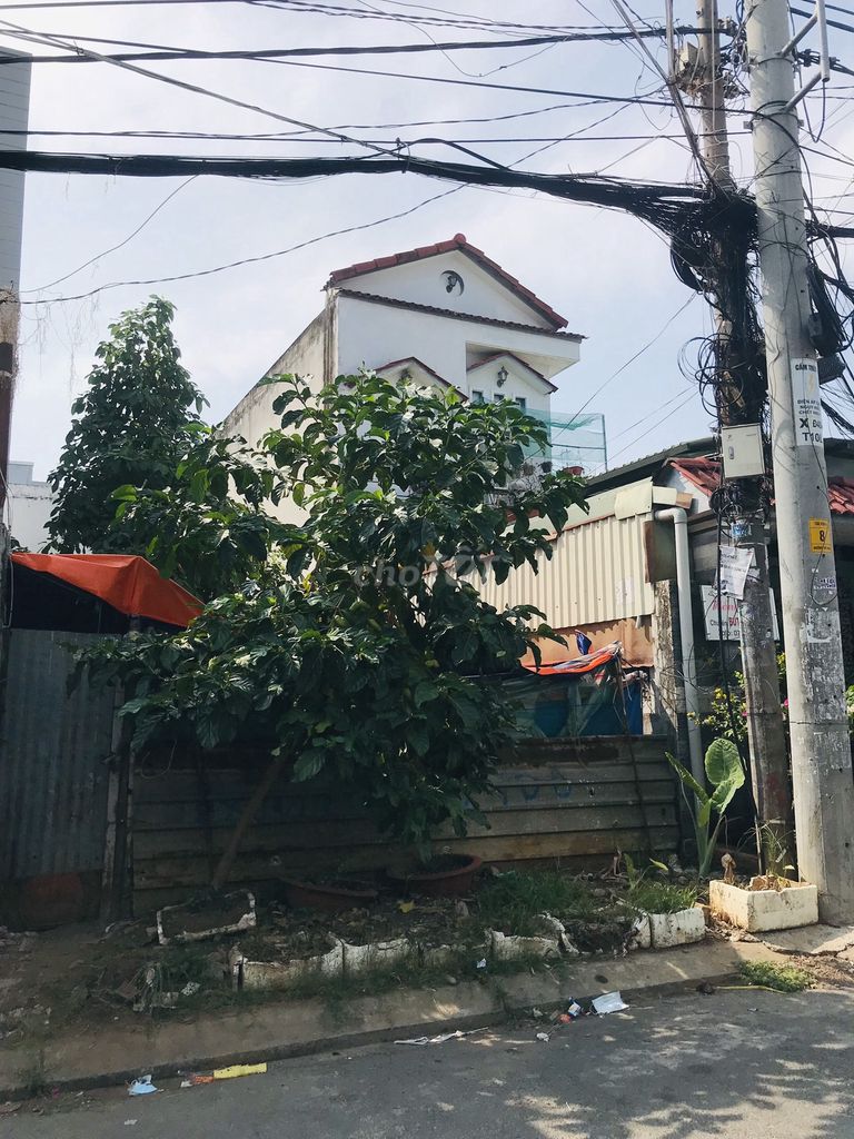 4188604 ảnh đại diện 2