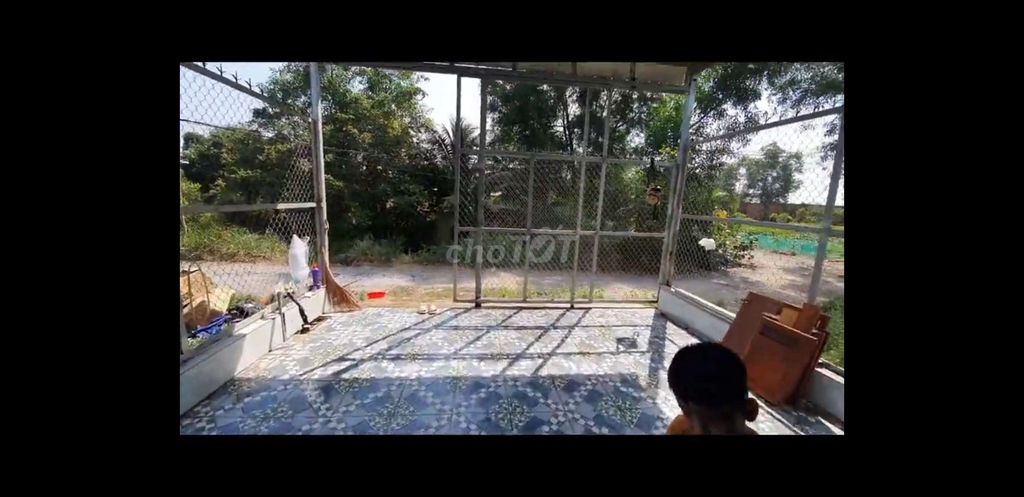 4188862 ảnh đại diện 1