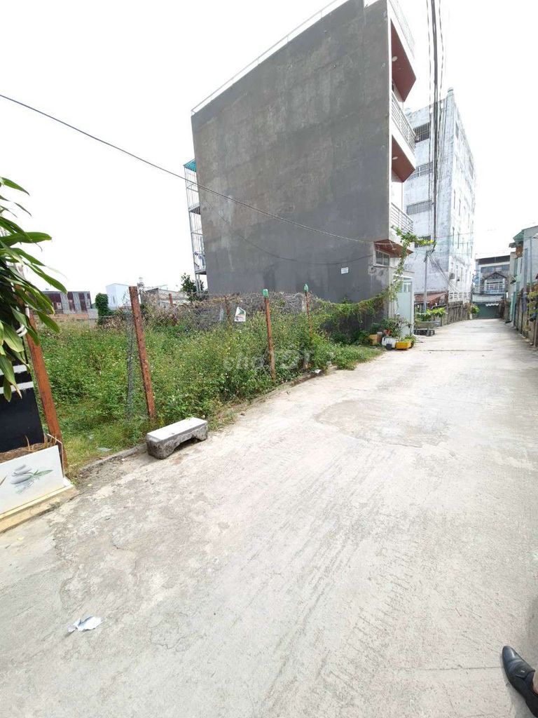 4190365 ảnh đại diện 2