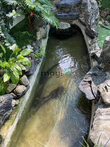 4187344 ảnh đại diện 1
