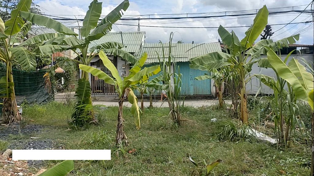 4189826 ảnh đại diện 1