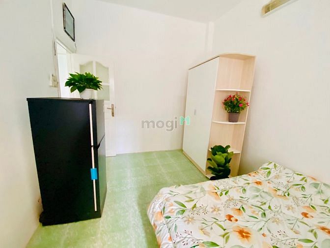 4190178 ảnh đại diện 2