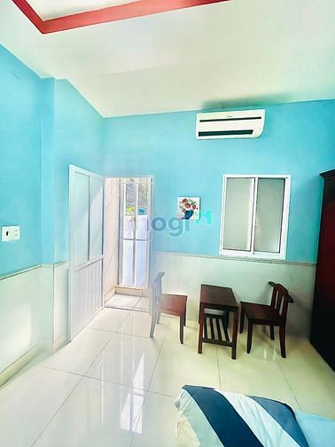 4191829 ảnh đại diện 1