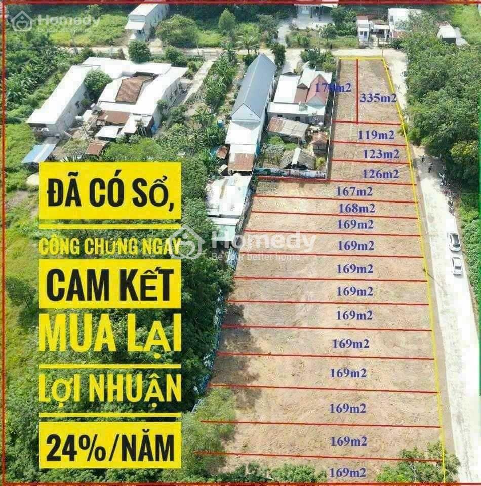 4194639 ảnh đại diện 1