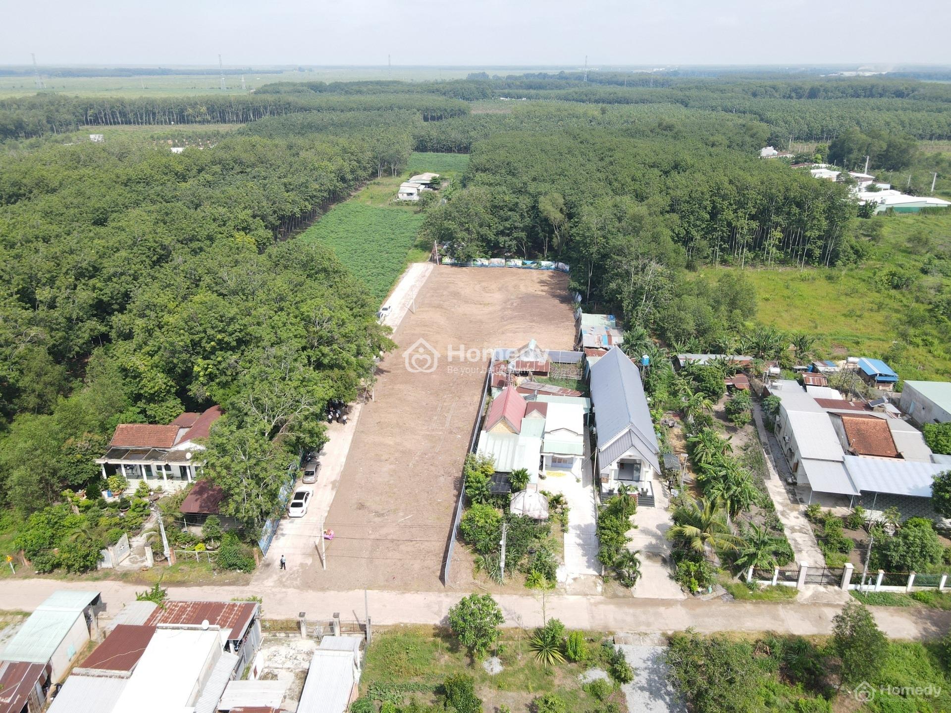 4194629 ảnh đại diện 2